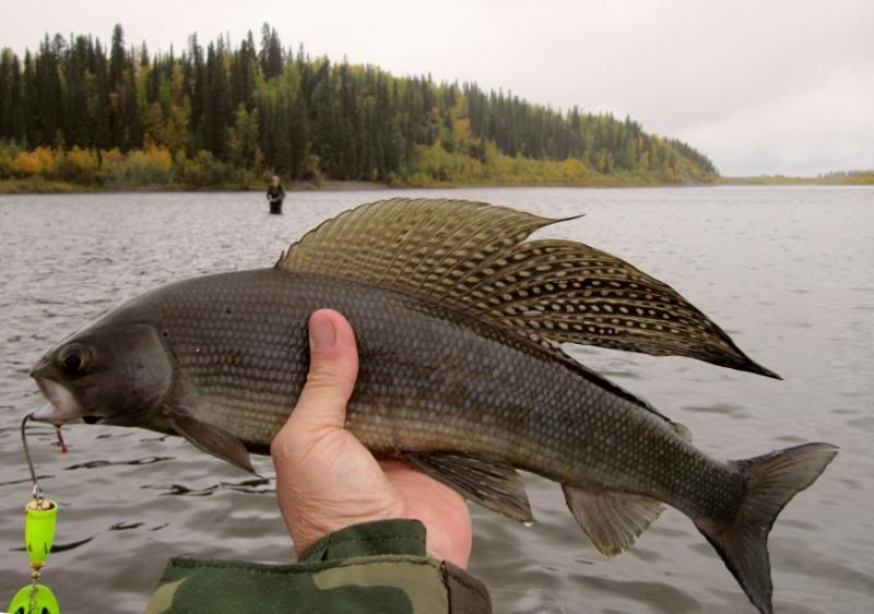 Bob & Brians Big Bucket List Adventure....partII